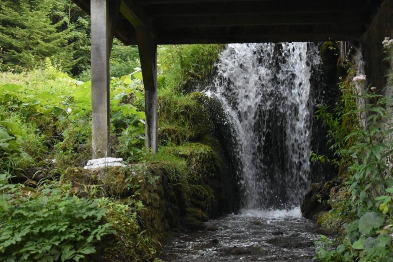 Wooden House With A Waterfall "Stipanov Mlin" Villa Plitvička Jezera Kültér fotó